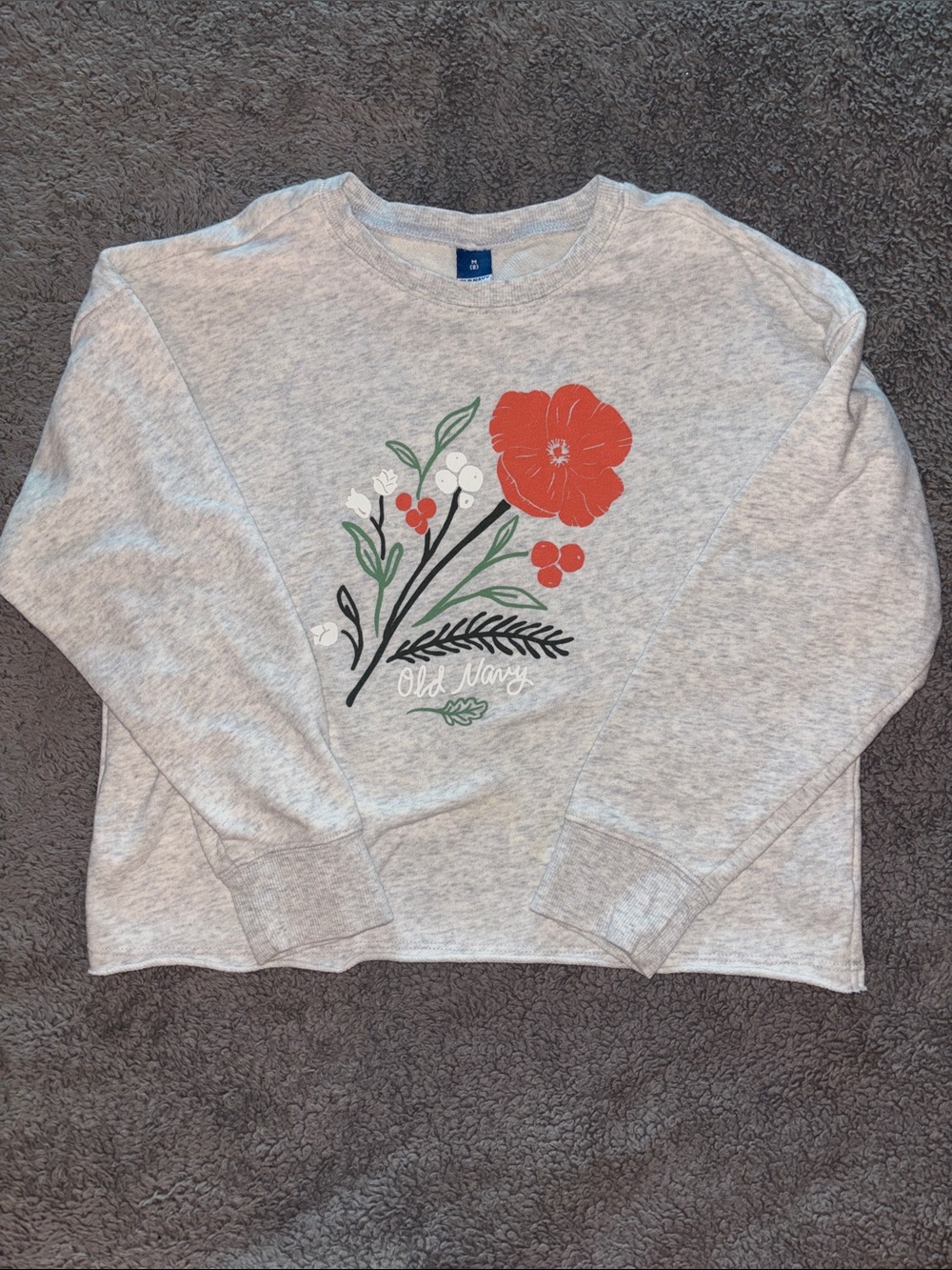 Girls Ash Gray Sweatshirt with Red Floral Graphic